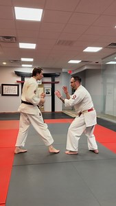 Iha Sensei Kumite 16 variations. Using a strike - in this case an elbow to get full center rotation to have strong base to finish the takedown. #karate #martialarts #training #traditional #training #teaching #IhaSensei #beikokushidokan | Mason Senak