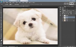ps教程 pscc photoshopcs4 photoshop视频