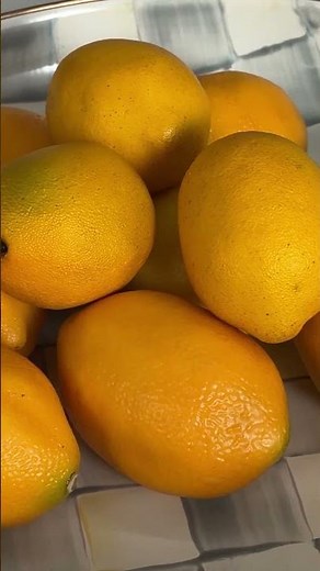 MacKenzie- Childs Check Abundant Bowl | QVC