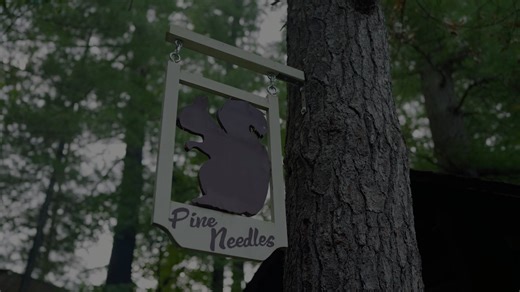 Creating can be an act of resistance. The 2026 Artist at Pine Needles residency offers emerging artists and writers the space to reconnect: art with ecology, imagination with inquiry, solitude with community. Here, along the banks of the St. Croix in the historic Pine Needles cabin, your work can root itself in something deeper. Applications due Sunday, Feb. 22, at https://smm.org/scwrs/pine-needles/. | Science Museum of Minnesota