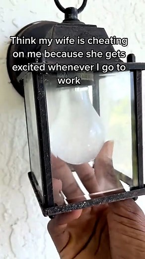 Coolest Videos on Reels