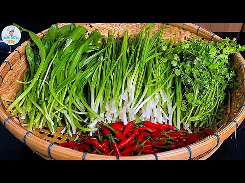 HOW TO PRESERVE FRESH GREEN ONIONS AND CILANTRO FOR A LONG TIME | Wife's Kitchen