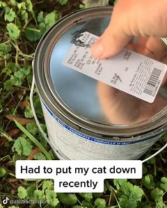 2.7M views · 4.1K reactions | Meaningful Graffiti And Murals | Pero Like | Facebook