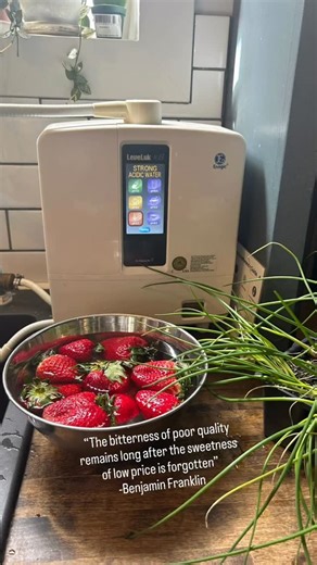 Sarah Jay | Biz Mentor | Income & Impact 💧🌎🏆 on Instagram: "Buy it nice so you don’t have to buy it twice. Buy it now so you can benefit from it longer. 🏆Solid platinum titanium plates, the same metal that’s used to make surgical equipment. 🏆Platelets that are 40% larger than any other on the market. Mesh plates, like the ones found in other ionizers, breakdown overtime and poison your water. 🏆Every part of our machine is made in house to control quality and price. Did you know it takes 7 