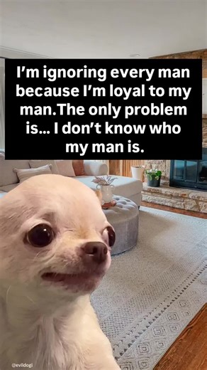 🤣 The funniest Evil Dog official Meme page Follow or you won't find it again Grab merch in my bio evildogofficial.com
