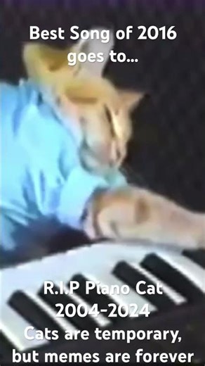 Best music of 2016! #greatmemereset #2016 #cat #goodvibes #love #memes #nyancat #stoptherot #viral