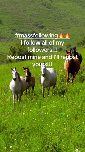 I got sick of the sound everyone is using for the mass follow so created some variations. It’s free to follow anyone and help them out! Let’s go!!! #massfollowing🔥🔥 #teamwork