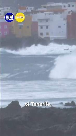 Three dead after tidal surge in Tenerife | 9 News Australia