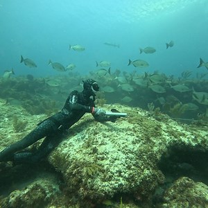Underwater Hunting for Food! | Ryan Myers