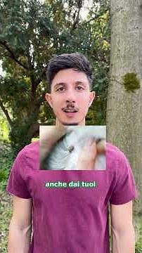 Zecche e punture: i rischi da conoscere #prevenzione #salute #short