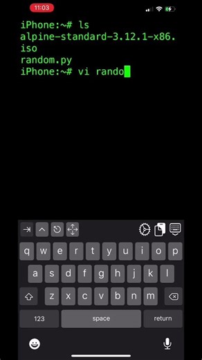 terminal iphone python pythonprogramming ish technology Tech... #Shorts #ventifriedchicken