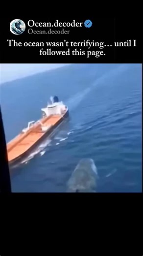 Ocean on Instagram: "In 2016, an unmanned NOAA submarine descended into the Atlantic Ocean-3,700 meters below the surface, where sunlight has never reached. The mission was routine: map a submarine rift. No expectations. No danger. Just data. Then, at 2,178 meters, everything changed. The cameras were rolling in real time when something moved across the screen!EDARK Not a fish. Not a squid. Not anything with a recognizable shape. #trendingreels #mindblowing #oceanmystery #submarine"