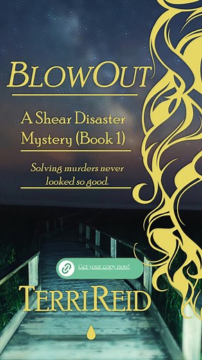 BlowOut - A Shear Disaster Mystery is FREE - Nov 12 - 16. Please share this with your friends!!! :) <3 https://www.amazon.com/dp/B08GMYBRHX | Terri Reid, author | Facebook