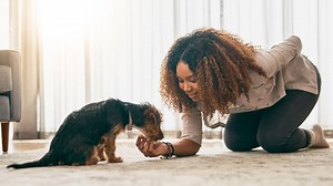 5 ways to keep your puppy entertained at home