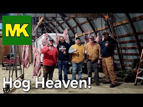Old-Fashioned Hog Processing Day on the Homestead | Teaching the Next Generation