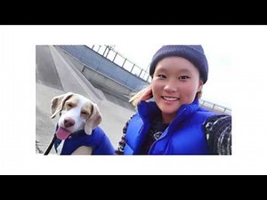 【CM】グーグル