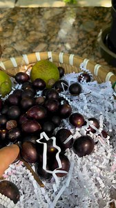 15K views · 341 reactions | How to grow muscadine grape!   | Judy Bao Garden | Facebook