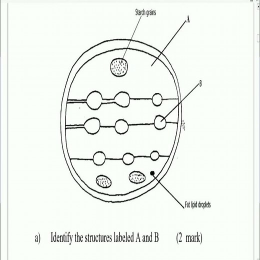 KCSE Biology Form 1-4 Revision Exam | Que & Ans | KCSE Biology Paper 1 & 2 | Biology #Short