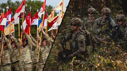 How many soldiers are in a platoon? The U.S. Army by the numbers