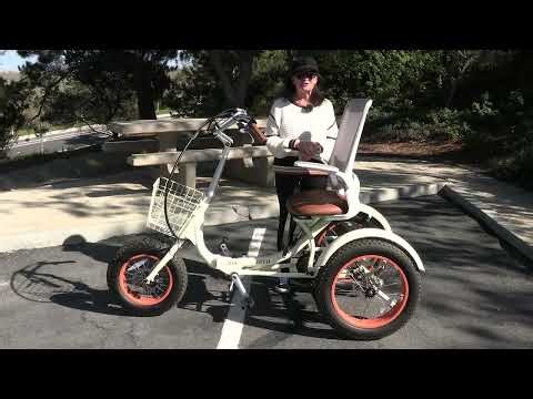 WHAT E-TRIKES COME WITH BUILT-IN SAFETY FEATURES?