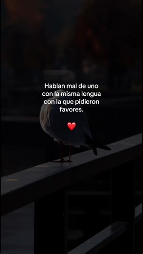 Powerful Motivational Quotes to Inspire You