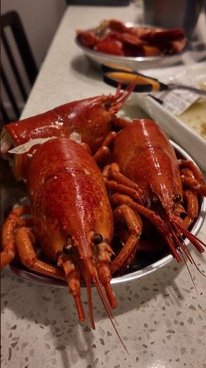 🦞“3 Lobsters for $60 🦞 | Costco Deal!”