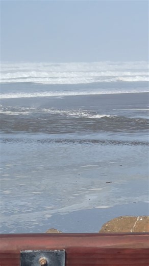 24 reactions · 5 comments | John Wilson on Reels | Facebook