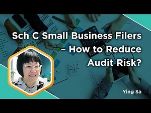Schedule C Small Business Filers - How to Reduce Audit Risk?