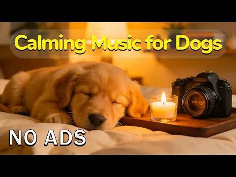 12 HOURS of Dog Calming Music🐶🎵Anti-Separation Anxiety Relief Music🎵💖Music to Relax Dogs💖No Ads