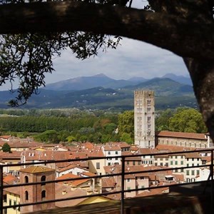 Lucca, Toscane. Daar kun je alleen maar van houden! Het rustige Lucca is met zo’n 90.000 inwoners een van de mooie en fijnste middelgrote steden van Toscane. De stadsmuren uit de Renaissance zijn nog geheel intact en worden nu gebruikt als wandel- en fietspaden. De stadswallen geven je een mooi uitzicht over het historisch centrum. Opvallend is het stratenplan van Lucca. Hieraan kun je direct zien dat de stad gesticht is door de oude Romeinen. In Lucca vind je veel kerken en het beroemde ovalen 