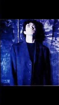 Fort Alamo live 1996 ‪@muratofficiel‬ #jeanlouismurat #murat #musique #live #chanson