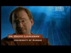 5of5 - Animal Armageddon - Death Rays