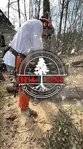 57 reactions · 24 shares | Overgrown limbs, leaning trees, or that...