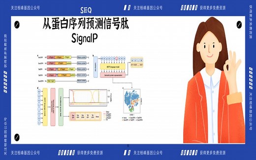 SEQ 6. 蛋白序列的信号肽预测(SignalP)