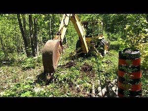 Stump Removal with Ford 4500 Backhoe 🪵#65