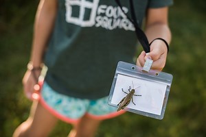 Academic - Four Square Community