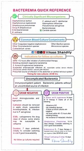 Bacteremia Quick Reference | Clinical Micro Guide 🧫 #Bacteremia #Microbiology #VikaasShandily #VikaasLLC #MedicalEducation #viralreelschallenge | Vikaas Shandily