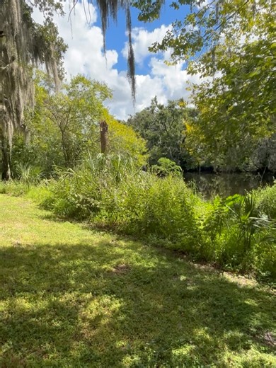 Tampa Parks & Recreation on Reels | Facebook