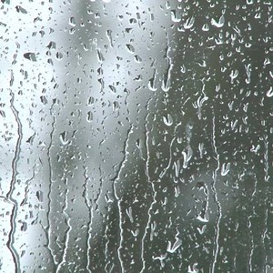 74 reactions · 9 comments | If you have love for your husband, but...