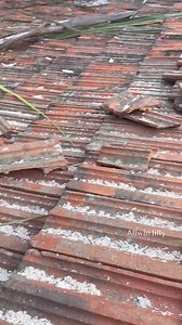 219K views · 10K reactions | Risky coconut tree #villagelife #kids #story | Allwin Jilly | Facebook