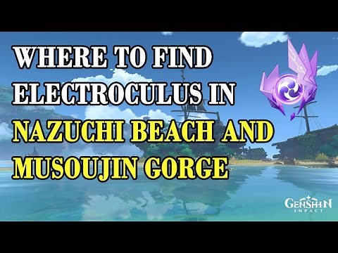 [EN] Where to Find Electroculus In Nazuchi Beach and Musoujin Gorge? [Genshin Impact Guide]