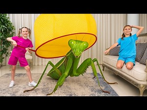 Bug Escape Challenge – Find All Insects with Stephi! - Videos For Kids