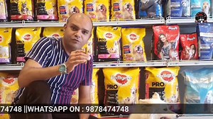 2.2K views · 117 reactions | Pomeranian The Cute Watch Dog (Pet...