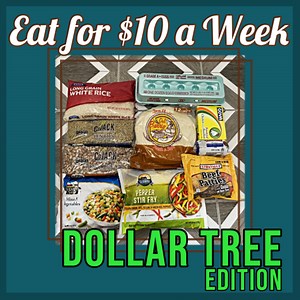 How to Eat For $10 a Week • Dollar Tree • THATLISADAWN