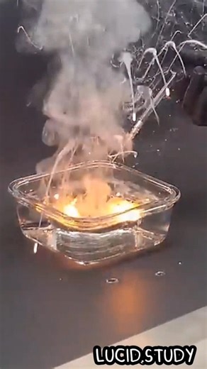 Highly Reactive with Water-Sodium #sodiummetal #periodictable #science