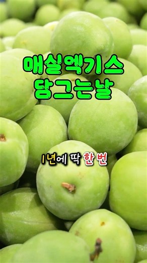 새벽팜 김치의 깔끔한 끝맛,사실 여기서 시작됩니다 🍃