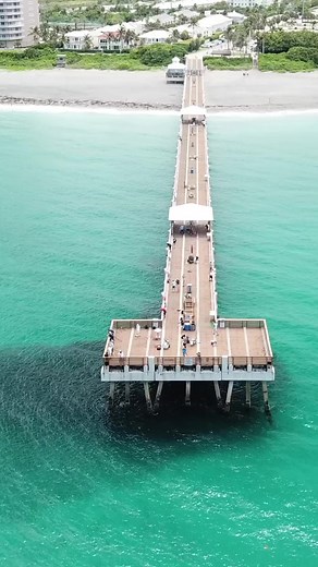 2.5M views · 10K reactions | It’s really interesting how a fish can mean so much more based on the location it’s caught. Catching a keeper mutton snapper on a boat offshore is no big deal, but doing it from land is extremely special. Super fun day on the old pier 酪 #fishing #pierfishing | Ryan Morie Outdoors | Facebook