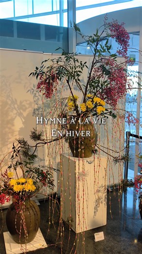 Hymne à la vie en hiver From January 13 to 17, 2026, the Maison de la culture du Japon à Paris hosts a winter Ikebana exhibition celebrating the beauty of life in its quietest season. Works from the Ikenobo, Ohara, and Sogetsu schools transform branches, winter flowers, and negative space into a poetic dialogue between nature and time. A serene stop for anyone seeking Japanese aesthetics in the heart of Paris. . #Ikebana#WinterExhibition #MaisonDeLaCultureDuJapon#ParisArt#JapaneseAesthetics