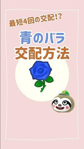 【あつ森】最短ルート！？青バラの交配方法！