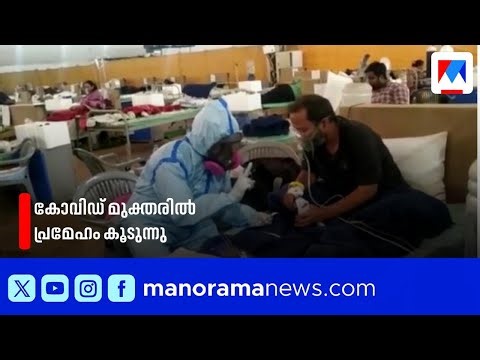 കോവിഡ് മുക്തരിൽ പ്രമേഹം കൂടുന്നതായി ഞെട്ടിക്കുന്ന പഠന റിപ്പോർട്ട്| Covid | Diabetic